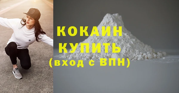 твердый Армянск