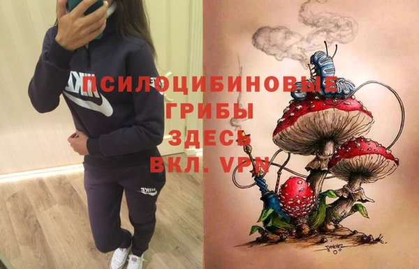 эйфоретик Аркадак